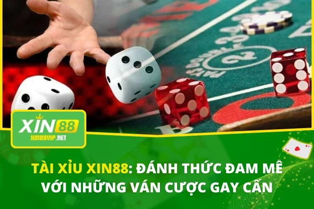 Tài Xỉu XIN88: Đánh Thức Đam Mê Với Những Ván Cược Gay Cấn